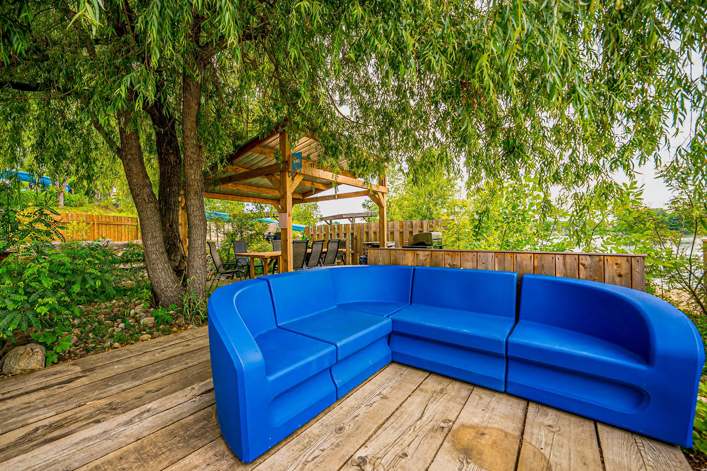 cabana, arbre, plante, bois, plage, barbecue