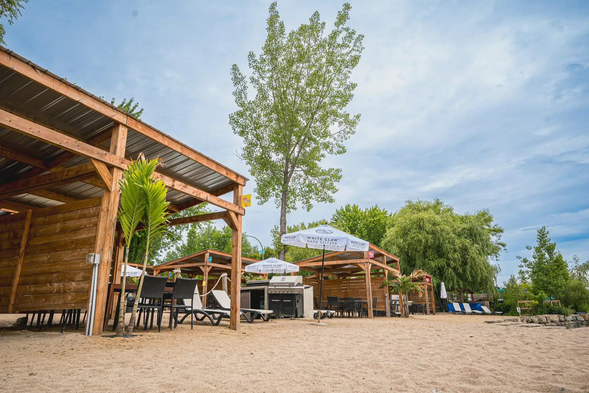 cabana, plage, barbecue, plante, bois