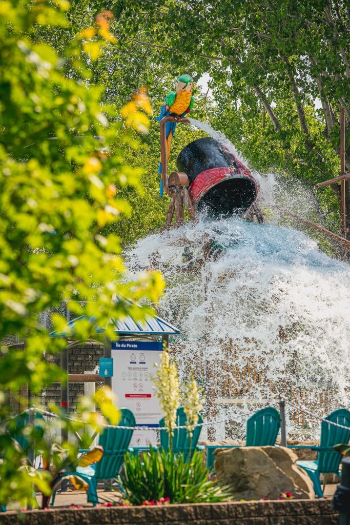 chute, eau, pataugeoire, arbre, parc aquatique