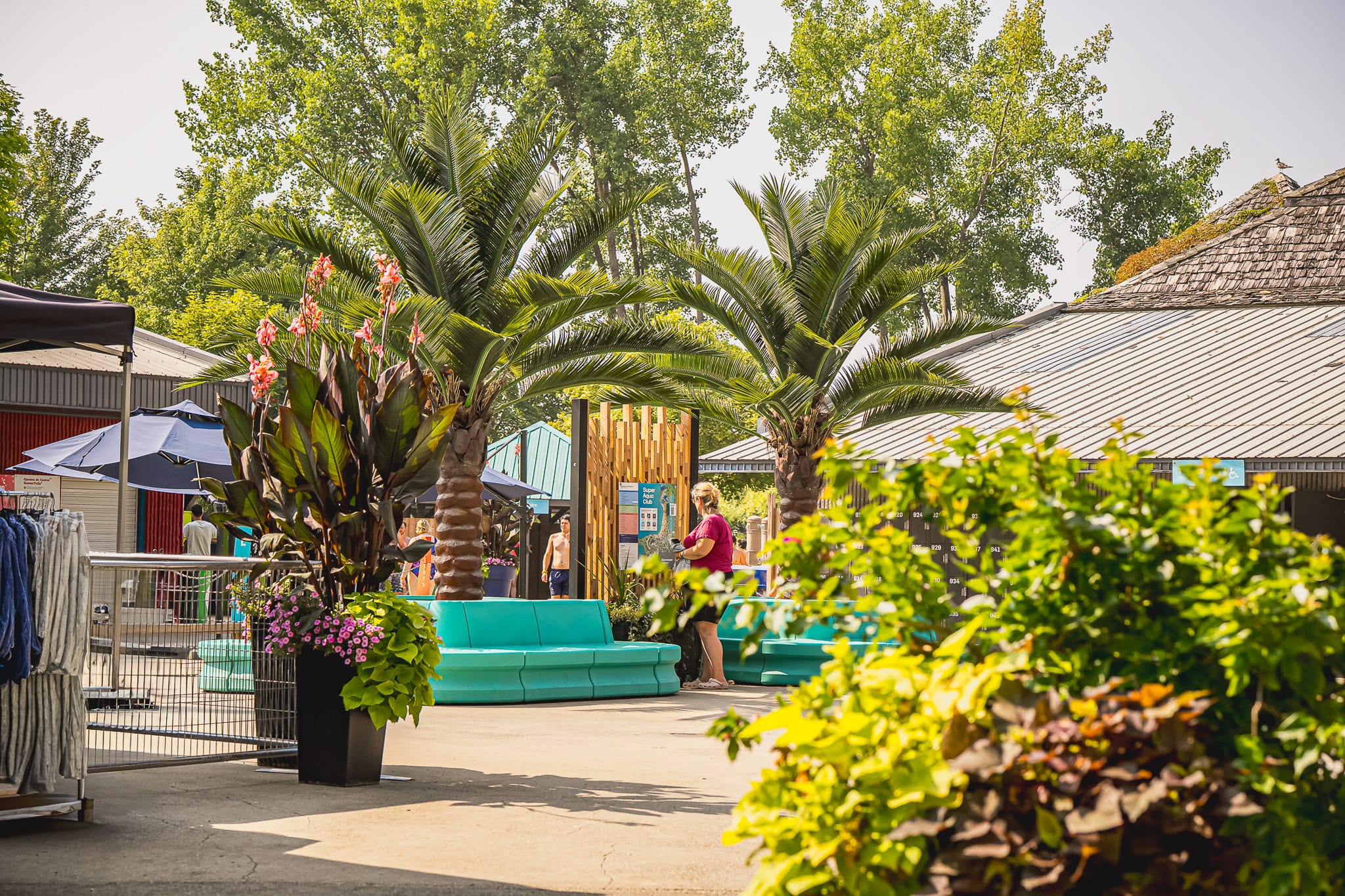Place centrale avec palmiers et bancs pour se reposer